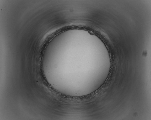 X0000093570920200710151013