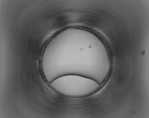 X0000093570921200710151013
