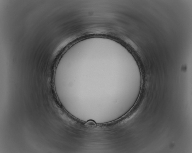 X0000093570922200710151013