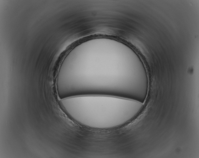 X0000093570923200710151013