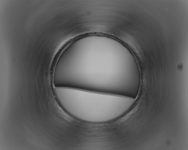 X0000093570924200710151013