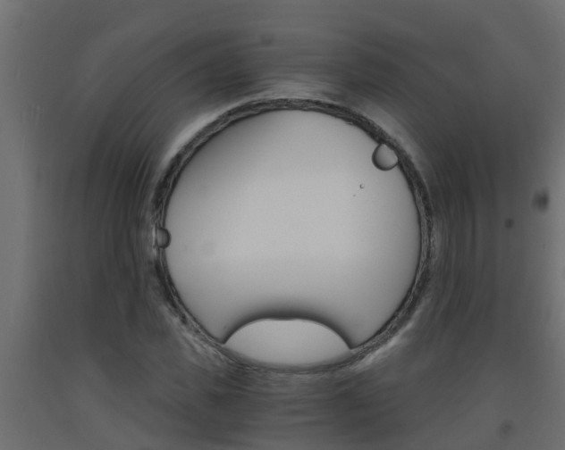 X0000093570925200710151013