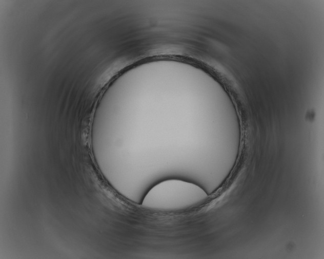 X0000093570929200710151013
