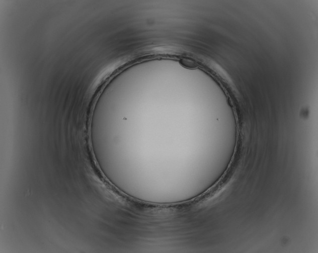 X0000093570930200710151013