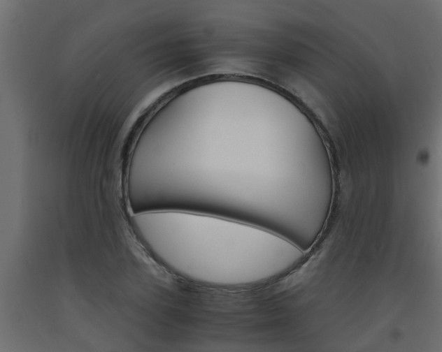 X0000093570931200710151013