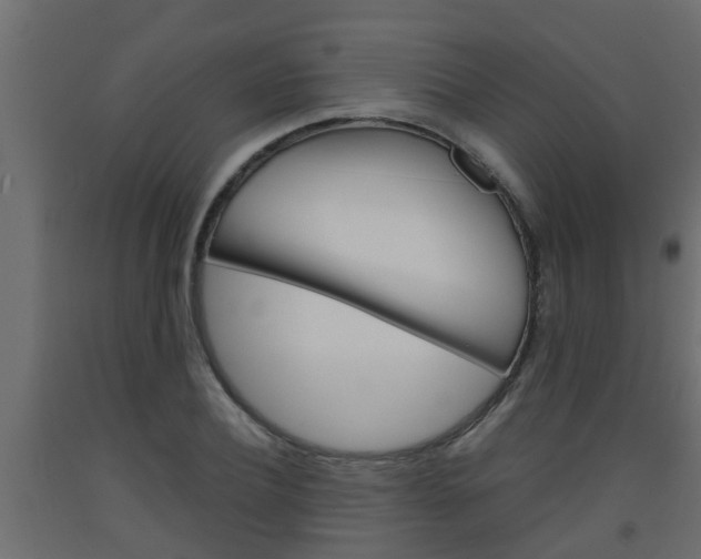 X0000093570932200710151013