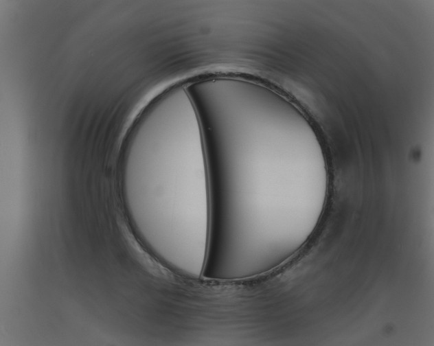 X0000093570934200710151013