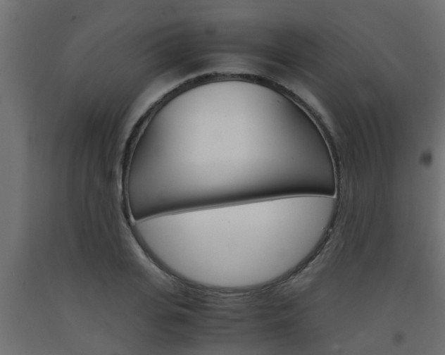 X0000093570935200710151013