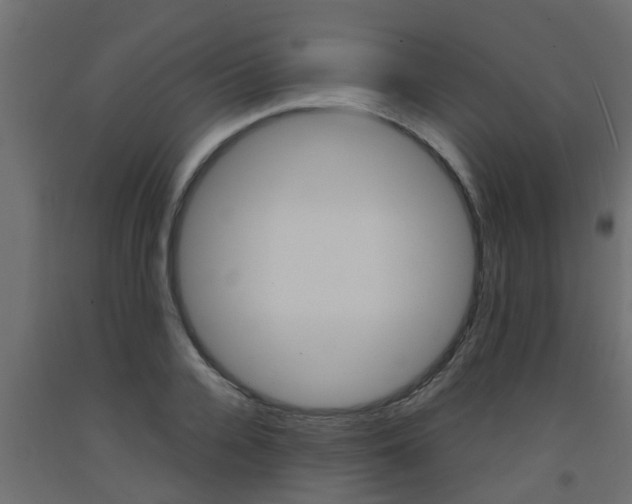 X0000093570936200710151013