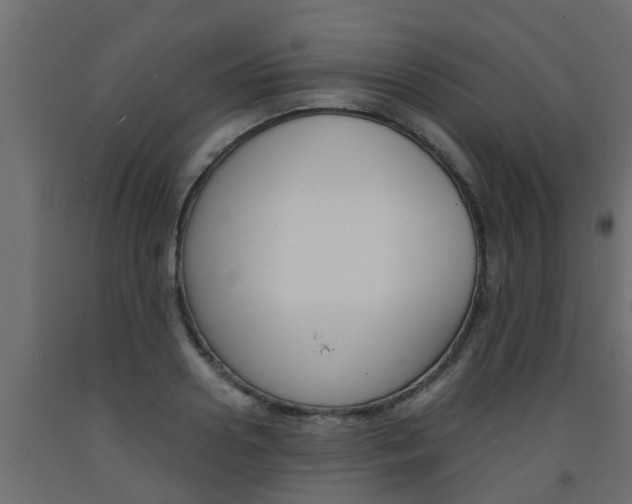 X0000093570938200710151013