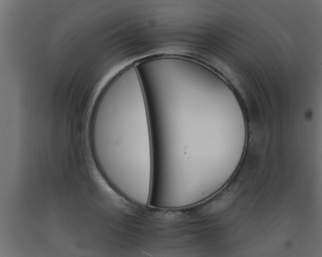 X0000093570939200710151013