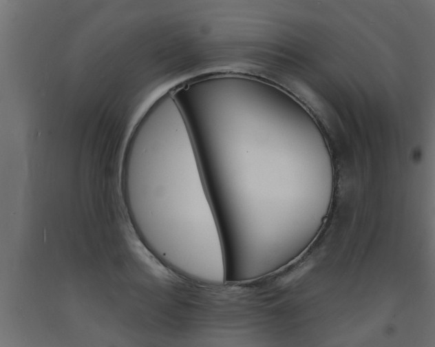 X0000093570940200710151013