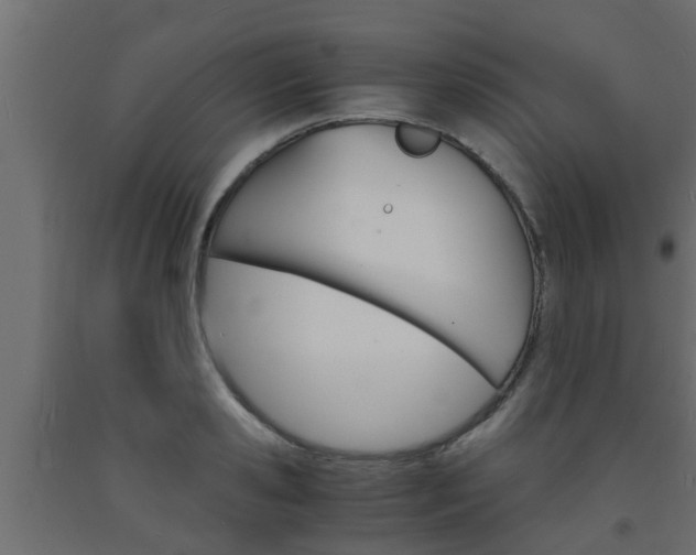 X0000093570941200710151013