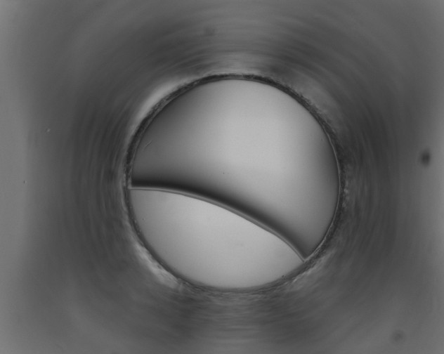 X0000093570942200710151013