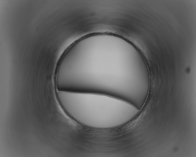 X0000093570943200710151013