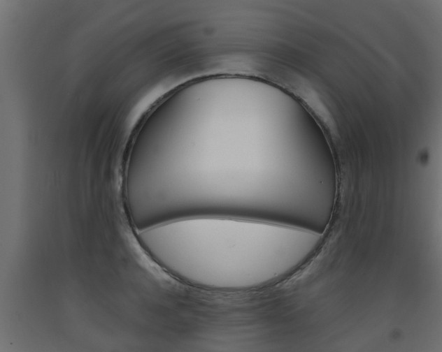 X0000093570944200710151013