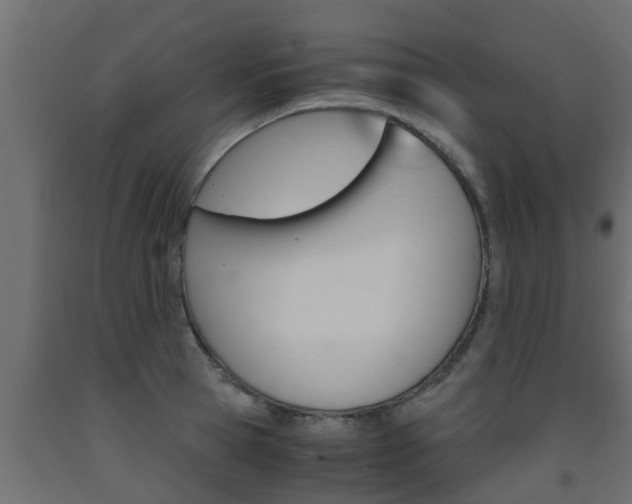 X0000093570945200710151013