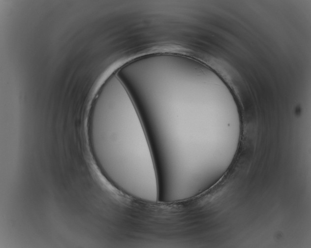 X0000093570947200710151013
