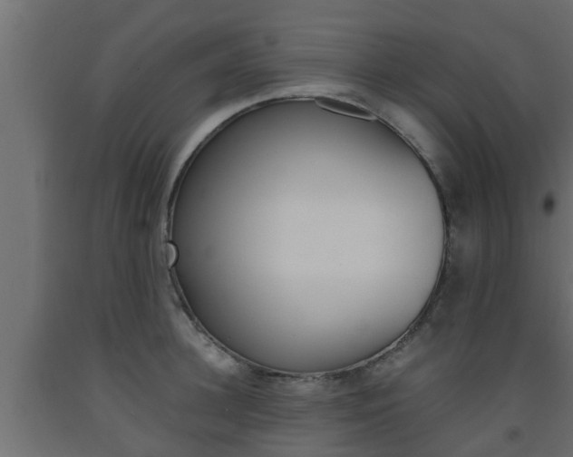 X0000093570948200710151013