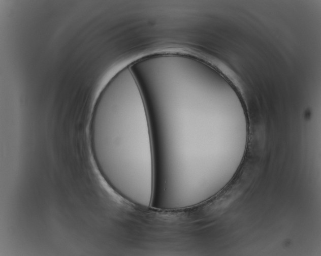 X0000093570951200710151013