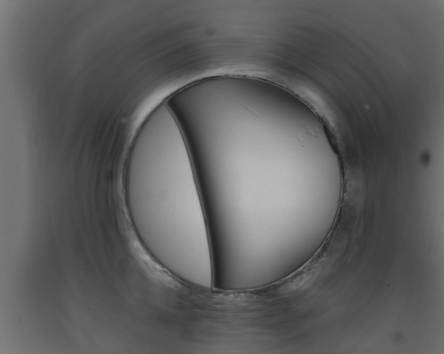 X0000093570952200710151013