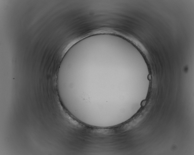 X0000093570953200710151013