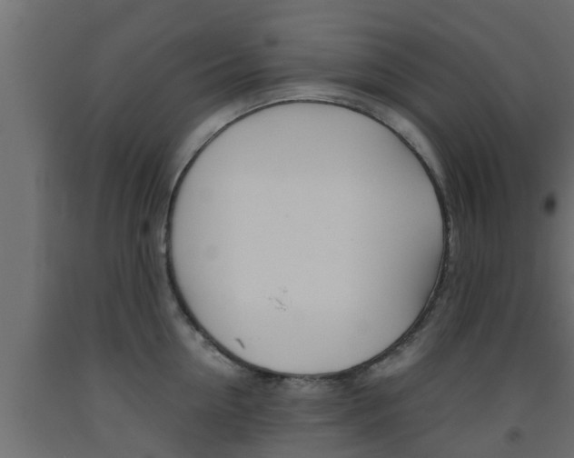 X0000093570954200710151013