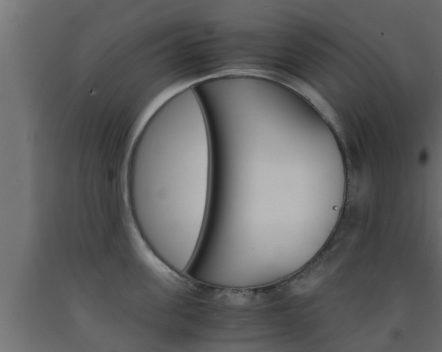 X0000093570955200710151013