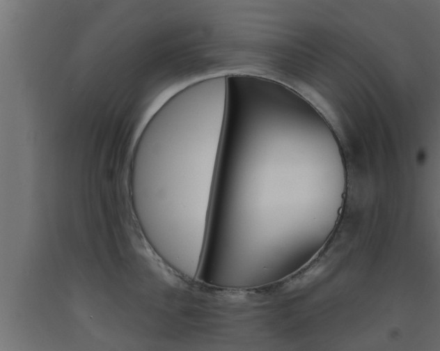 X0000093570956200710151013