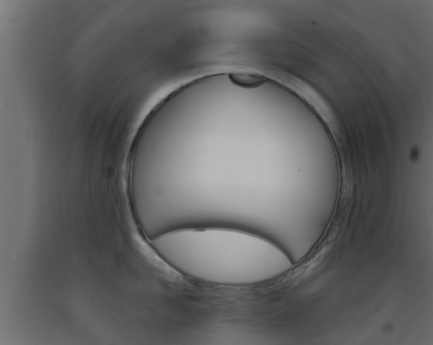 X0000093570958200710151014