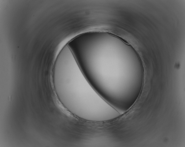 X0000093570960200710151014