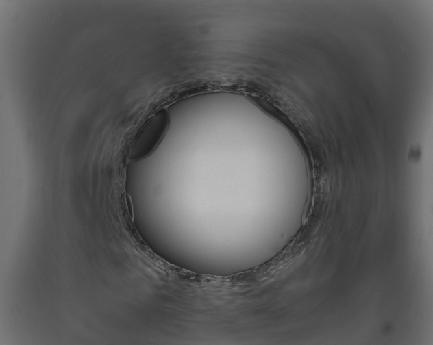 X0000093570961200710151013