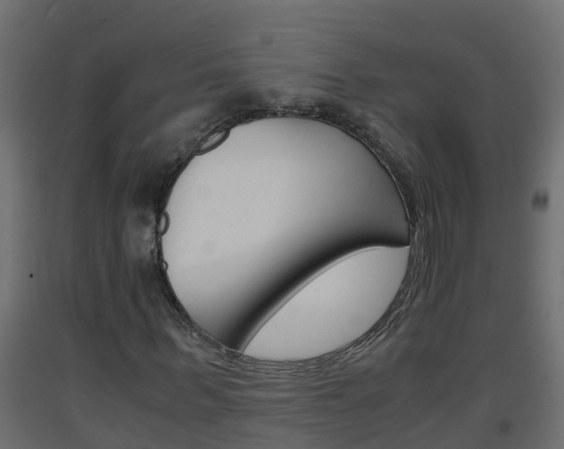 X0000093570963200710151013