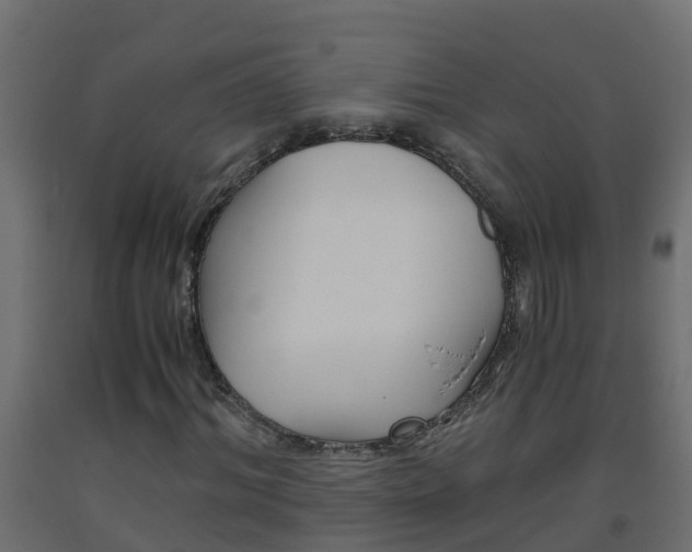 X0000093570964200710151013