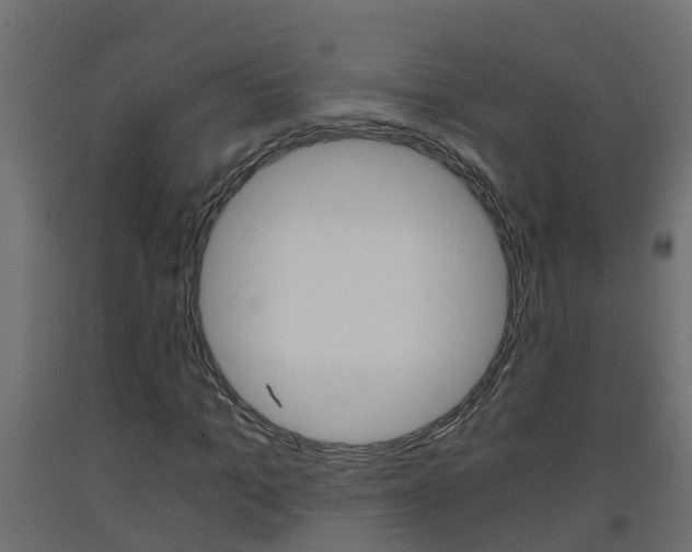 X0000093570965200710151013