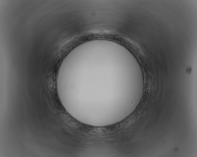 X0000093570966200710151013