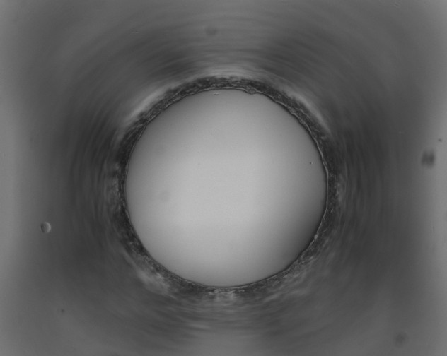 X0000093570968200710151013