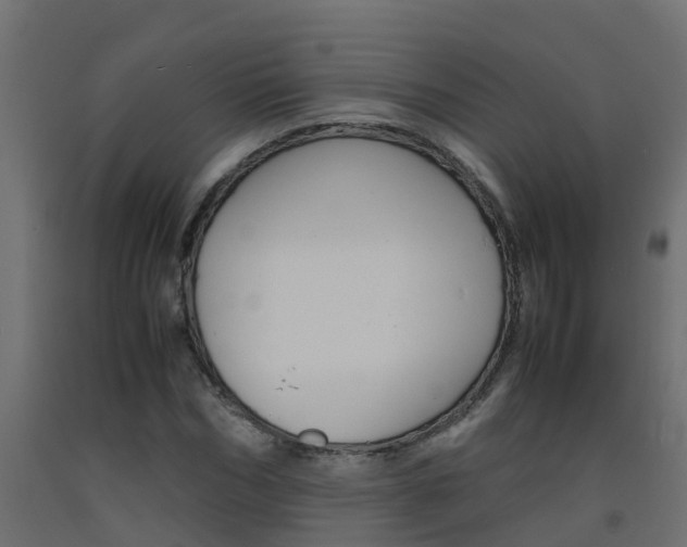 X0000093570970200710151013