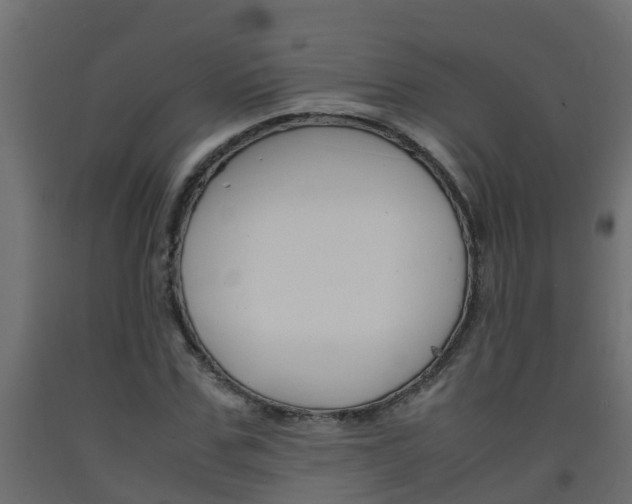X0000093570971200710151013