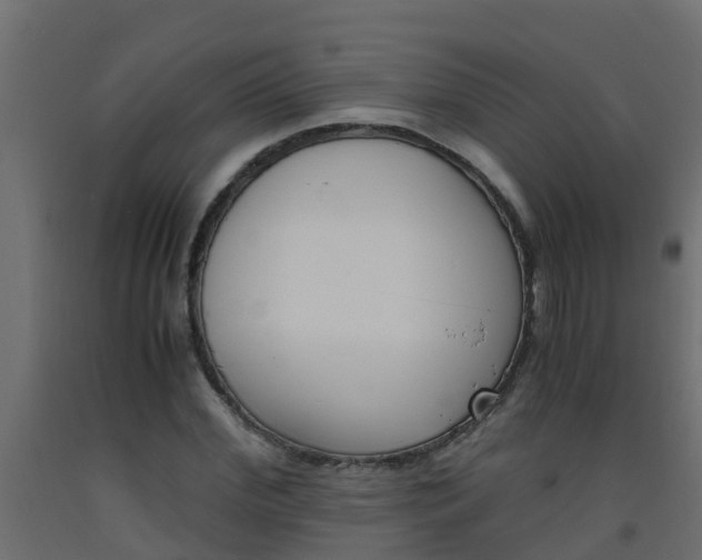 X0000093570972200710151013
