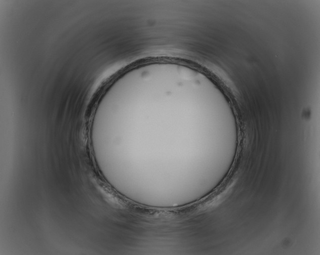 X0000093570974200710151013