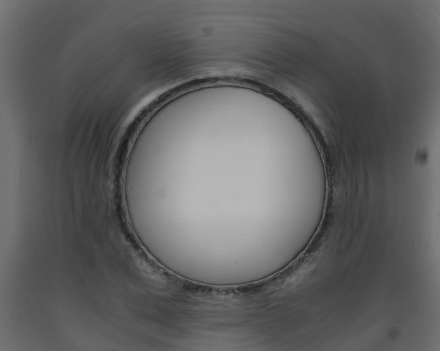 X0000093570975200710151013