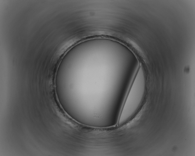 X0000093570977200710151013