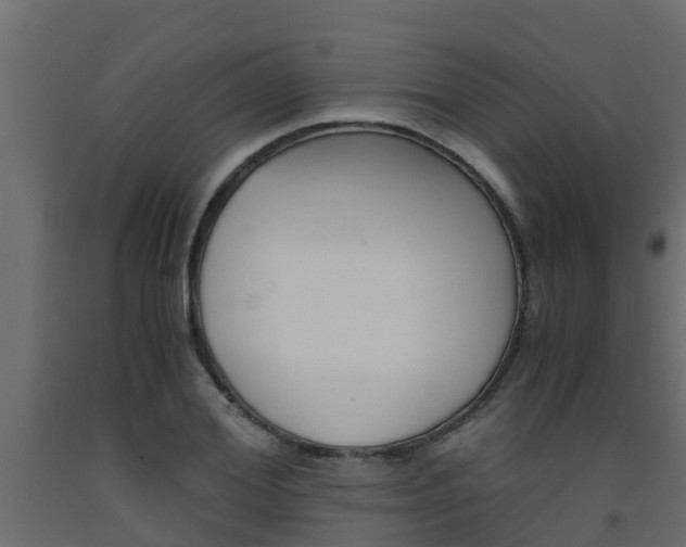 X0000093570980200710151013