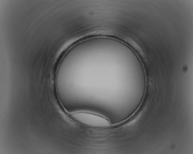 X0000093570981200710151013