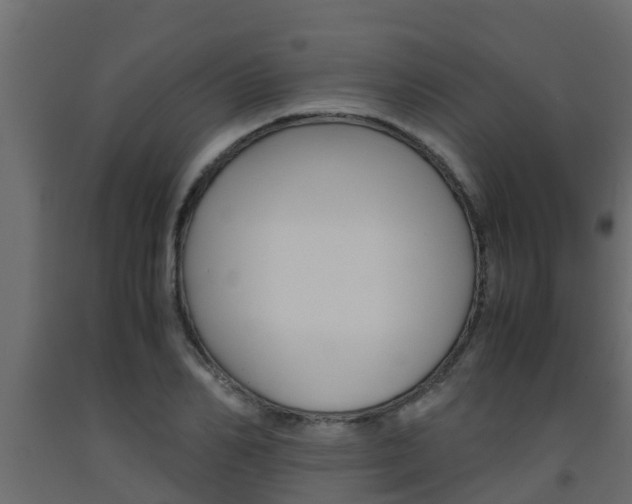 X0000093570982200710151013