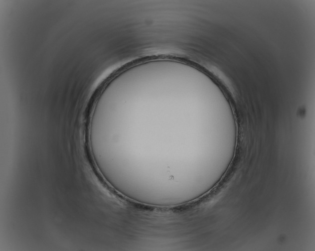 X0000093570983200710151013