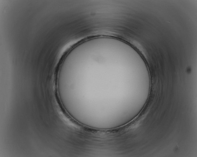 X0000093570987200710151013