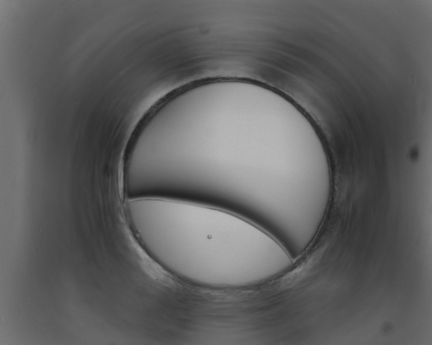 X0000093570988200710151013