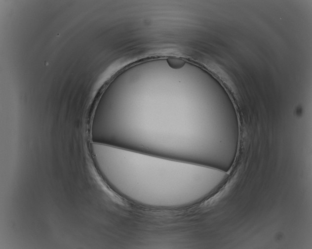 X0000093570989200710151013